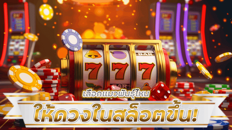 เลือกแมวพันธุ์ไหนให้ดวงในสล็อตขึ้น! slot555 ทริคง่ายๆ ที่คุณไม่ควรพลาด!